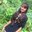 Sapna Gupta