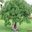 Sargam Toor