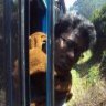 seemalakishore