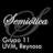 Semiótica, grupo 11 (Uvm Reynosa)