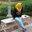 Septyati Dewi