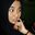 Setya D N