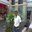 Prashant Agarwal