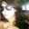 Sharon Mendoza