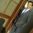 Shashank Kumar