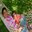 Shijy Joy