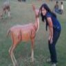 shikha3