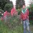 Shikhar Mittal