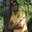Shyam Malhotra