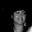 Silvia Nery