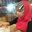 Cik Siti