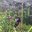 Slamet Indarjo