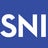 Surgical Neurology International