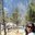 Soumyashree Shintre