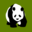 Steve Li