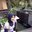 Niken Pratiwi