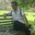 Sudeep Ap