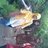 Sulis Retak