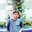 Sunil Gowroji