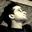 Surya Pratap