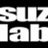 Hiroyasu Suzuki