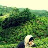 syietamansor