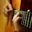 Fajar Synystergatezavenged