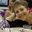 Tami Greenfield Boehmer