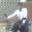 Naresh Tank