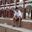 Tushar Jain