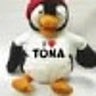tonatiuhnava