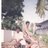 Trinadh Nookathoti
