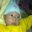 Trong Truong