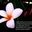 สพป.อุบลราชธานี เขต 4