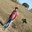 Uday Azmeera