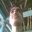 Utpal Patel