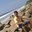 Vineeth Shankar