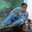 Vipin Choudhary