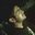 Vivek Ravisankar