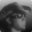 Chris Miller