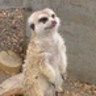 wadatka