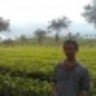 wandiwanafhati
