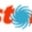 e-storm international