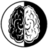WholeBrain