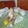 Minglan Wang
