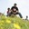Yash Sharma