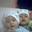 Rosli Sareya