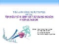 Vi sinh vật phân giải Hydrocarbon