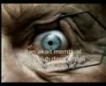 Bahaya Merokok (Video)
