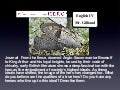 01 The History Of The British Isles
